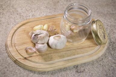 Inactive garlic to eliminate body parasites