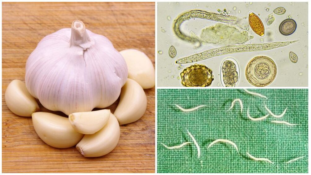 Garlic against parasites